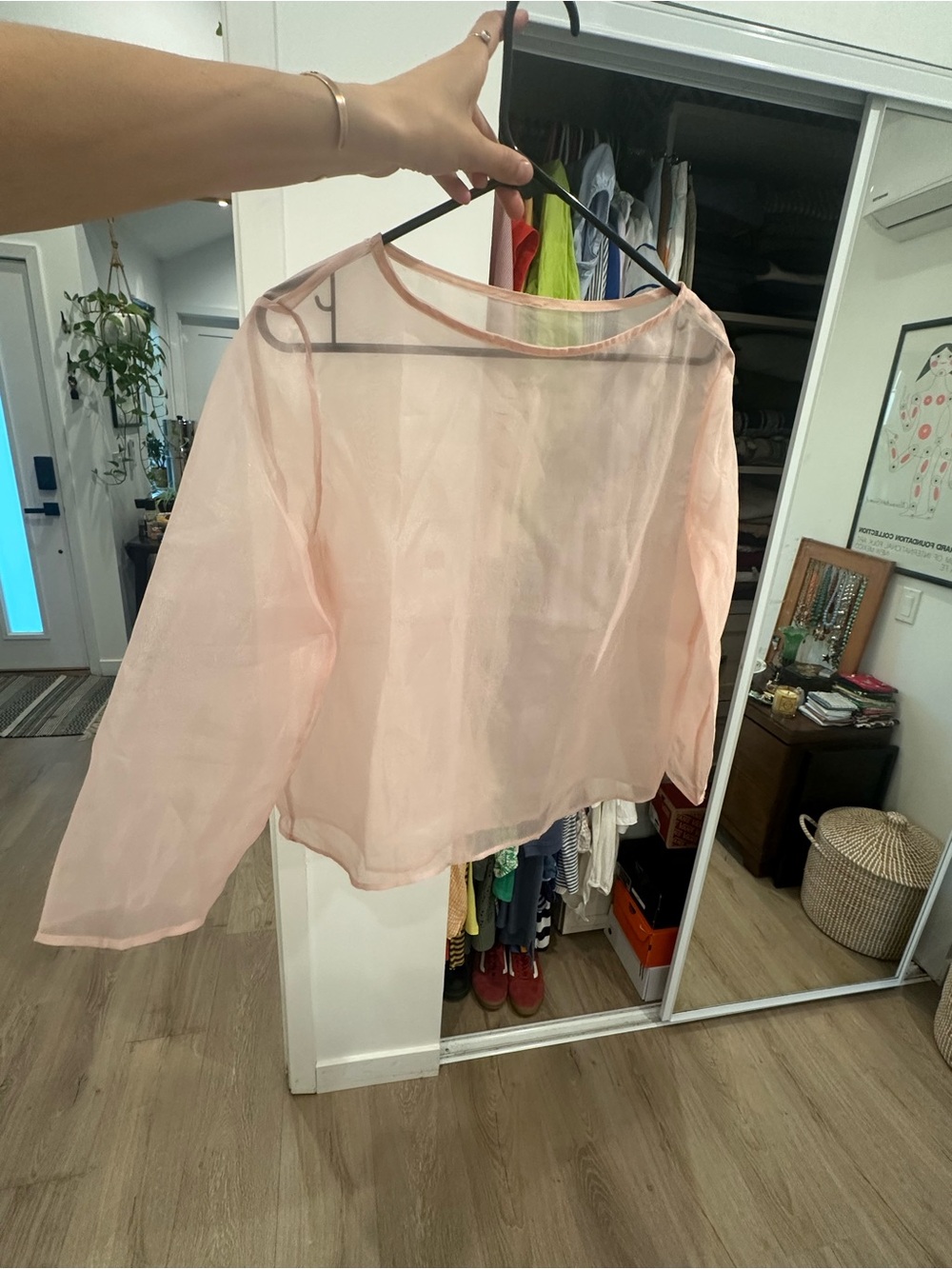 Sheer Pale Pink Long Sleeve Blouse